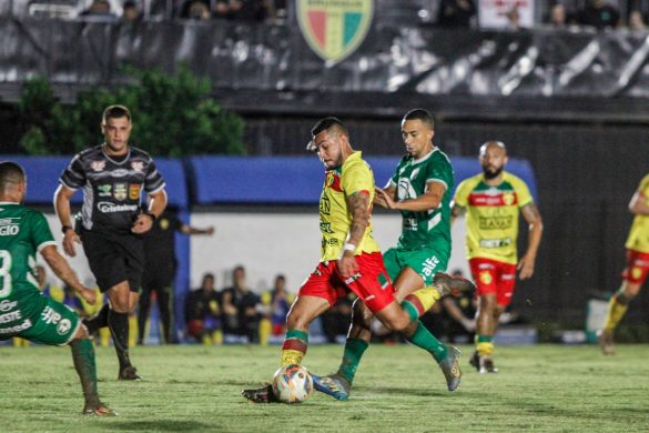 De olho no Santa Cruz, Brusque FC realiza treino no CT Rolf Erbe - EsporteSC